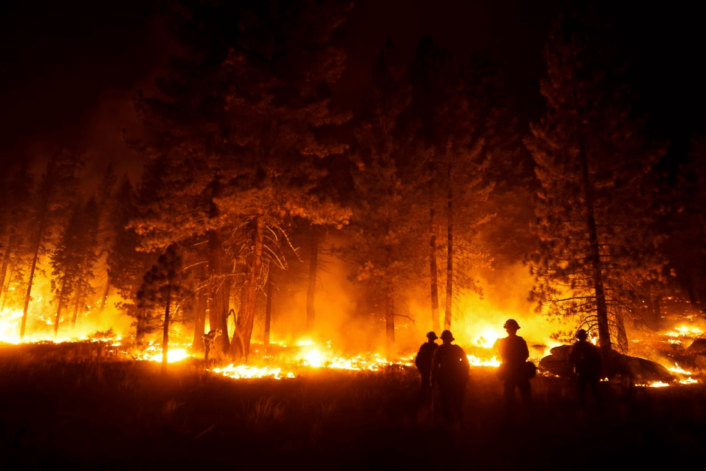 As wildfires get more intense, early detection and notification will become increasingly important, experts say. PHOTO: JAE C. HONG/ASSOCIATED PRESS